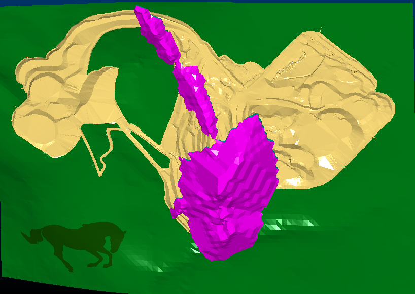 Armanis Pit Shell
